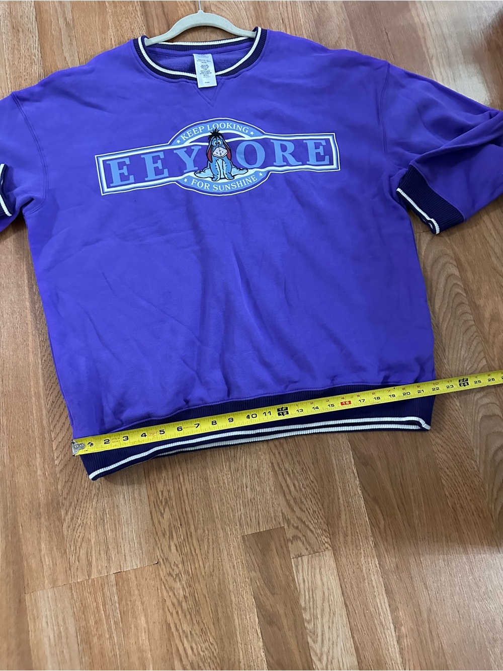 Disney Purple Eeyore Sweatshirt with Blue and White Accents - Picture 9 of 10